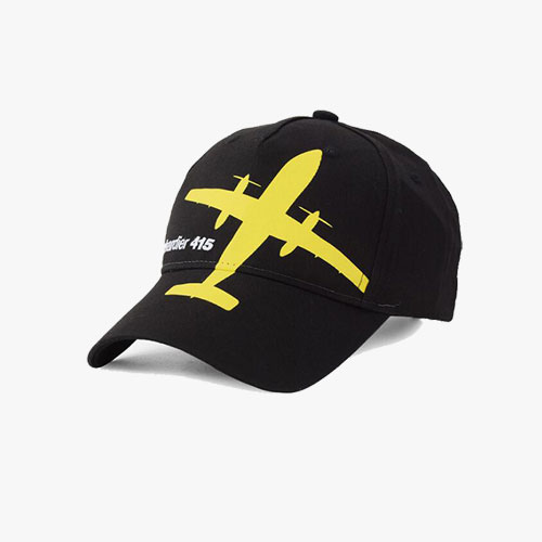 Aviation Exhibition Cap