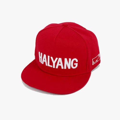 Snapback Flat Bill Hip Hop Cap