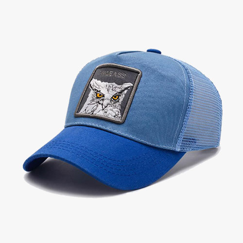Owl Cap